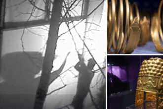 furtul tezaurului dacic de la muzeul drents sapte suspecti niciun artefact recuperat presa olandeza dezvaluie detalii din ancheta 681a090b723e0