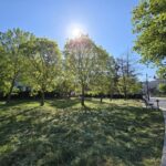 galerie foto parcul arheologic nu mai e maidanul de langa casa alba 682a70ce19e01