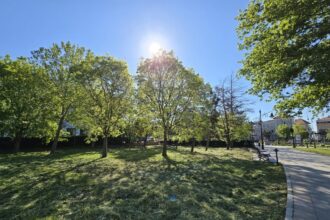 galerie foto parcul arheologic nu mai e maidanul de langa casa alba 682a70ce19e01