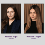 guvernanta corporativa din nou in atentia legiuitorului opinie filip company 68270d1583f88