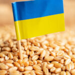 guvernul francez e favorabil restrictionarii importurilor de grau din ucraina in ue 682b2d9fe3949