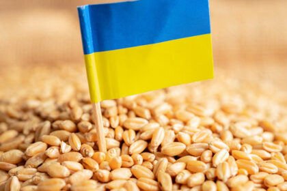 guvernul francez e favorabil restrictionarii importurilor de grau din ucraina in ue 682b2d9fe3949