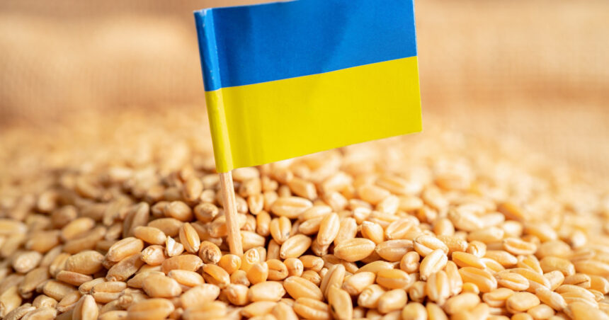 guvernul francez e favorabil restrictionarii importurilor de grau din ucraina in ue 682b2d9fe3949