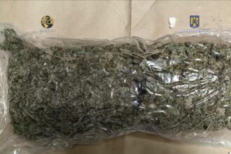 o persoana a fost retinuta pentru trafic de droguri dupa ce cumparase aproape 9 kilograme de cannabis din spania 681e1a5b8232f