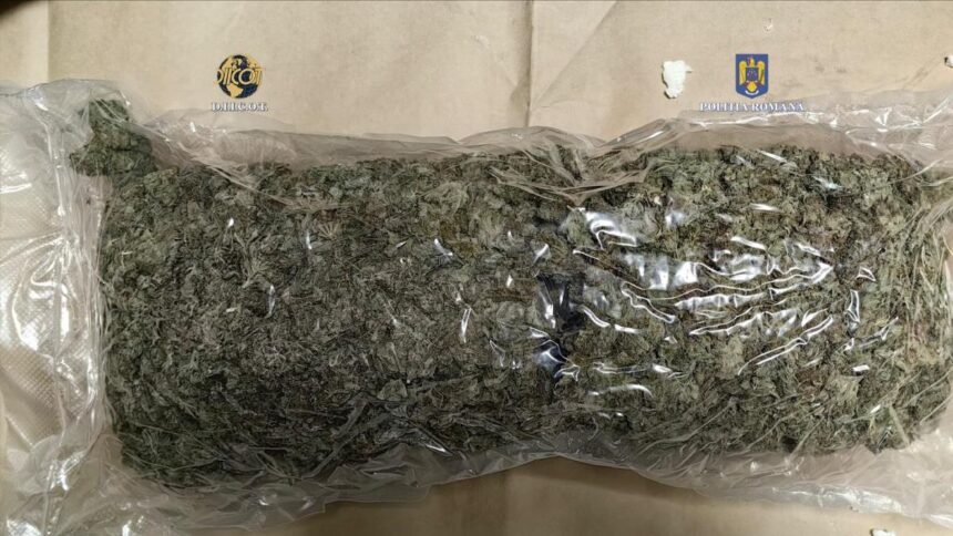 o persoana a fost retinuta pentru trafic de droguri dupa ce cumparase aproape 9 kilograme de cannabis din spania 681e1a5b8232f