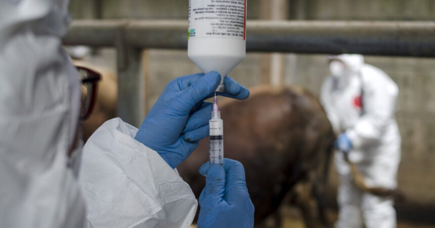 onu avertizeaza europa se confrunta cu cea mai grava epidemie de febra aftoasa de la inceputul secolului 682132b5702ee