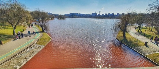 parcul ior va fi transformat intr o gradina muzicala reabilitare pe principiile noului bauhaus european 683571c7e8e45