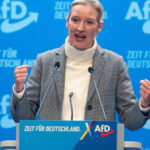 partidul alternativa pentru germania ataca in justitie decizia serviciilor de informatii de a desemna formatiunea drept extremista 6818e8198e3b1