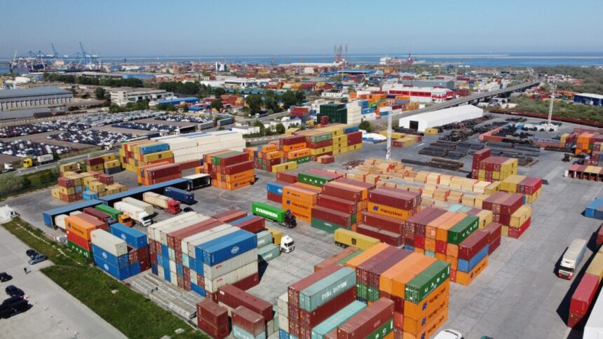 politistii de frontiera au descoperit intr un container sosit din sua 170 de cartuse de vanatoare care urmau sa fie introduse ilegal in tara 6818b847cff86