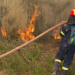 pompierii greci se antreneaza pentru stingerea incendiilor de vegetatie din acest sezon aproape 10 000 de incendii au fost anul trecut 682f2abe89783