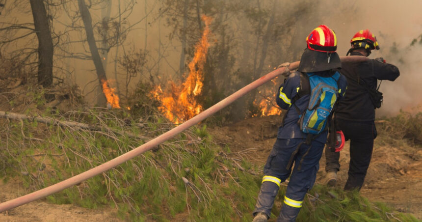 pompierii greci se antreneaza pentru stingerea incendiilor de vegetatie din acest sezon aproape 10 000 de incendii au fost anul trecut 682f2abe89783