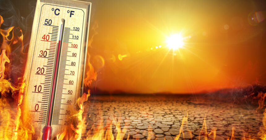 raport temperaturile pe glob se vor mentine la niveluri record in urmatorii cinci ani stiinta este fara echivoc 6836a09564996
