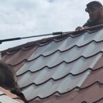 raton capturat de jandarmi pe acoperisul unei case din mihail kogalniceanu 682f483108298