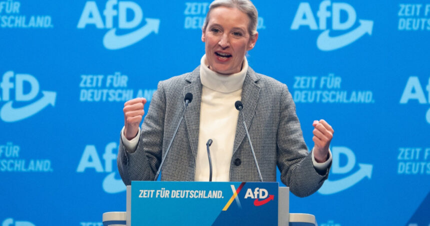 serviciile germane au desemnat afd drept organizatie extremista ce urmeaza pentru partid 68149e1c40645
