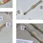 si femeilor din cetatea tomis le placea luxul expozitie de recipiente antice de parfum la mormantul pictat de tip hypogeu 681e94e9bff48