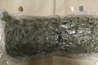 traficant prins in flagrant la constanta cu 9 kilograme de canabis 681efb082df74