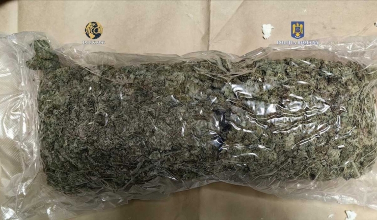 traficant prins in flagrant la constanta cu 9 kilograme de canabis 681efb082df74