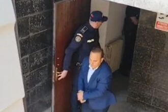 tribunalul constanta decizie in cazul lui mitica tuchila fostul director executiv al dsv tulcea ce a cerut dna 6821903f56512
