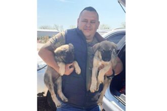 un constantean venit sa adopte un catelus a plecat acasa cu doi o singura inima mare 681b1d28e4180