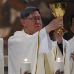 un nou favorit pentru succesiunea la vatican dat de casa britanica de pariuri william hill ar fi primul papa asiatic din istorie 68179a8f7a885