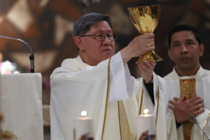 un nou favorit pentru succesiunea la vatican dat de casa britanica de pariuri william hill ar fi primul papa asiatic din istorie 68179a8f7a885