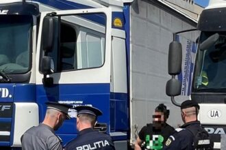 un sofer baut a provocat un accident in portul constanta ce alcoolemie avea barbatul cand s a urcat la volanul autoutilitarei 681379b3dc0b3