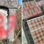 video cimitir vandalizat cu insemne naziste de trei tineri s au filmat si au publicat imaginile pe retelele sociale ce cred politistii 6826bd4c247c5