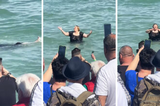 video de la baia de multime la baia in mare diana sosoaca a inotat si a facut show la neptun 681388e044d09