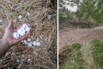 video grindina de dimensiuni mari in judetul constanta la lipnita si baneasa au cazut bucati de gheata cat ouale de prepelita 6830b26467def
