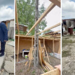 video imagini apocaliptice in tabara din navodari horia constantinescu presedintele cjpc imaginile de la cernobal dupa explozie 6839d840e95f5