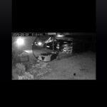 video masina lui sebi tanarul ucis in tragedia de la 2 mai fenomen inexplicabil in noaptea de 2 mai aproape de ora 2 68163cd161ac2