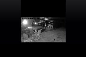 video masina lui sebi tanarul ucis in tragedia de la 2 mai fenomen inexplicabil in noaptea de 2 mai aproape de ora 2 68163cd161ac2