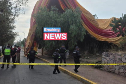 video momentul in care un balon cu aer cald plin de turisti aterizeaza fortat 12 persoane au ajuns la spital 6831b661cbc31