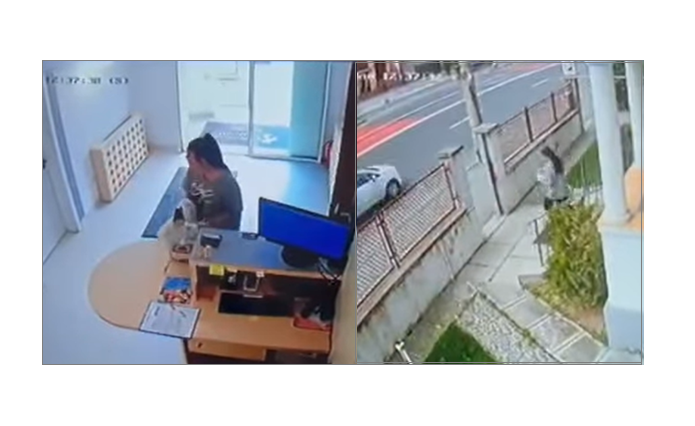 video o cutie pentru donatii a fost furata din receptia unei clinici veterinare se cauta femeia care a plecat cu banii 6819128eabbfd