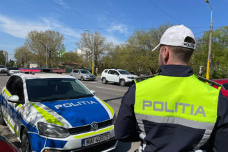 video sofer incatusat de politistii din mangalia a condus beat un autoturism fara rca cu itp ul expirat si cartea de identitate auto suspendata 68271fb87a6d8