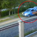 video un caine ar fi fost impuscat pe o strada de langa timisoara un barbat a fost surprins pe camera de supraveghere 681c7262eecd2