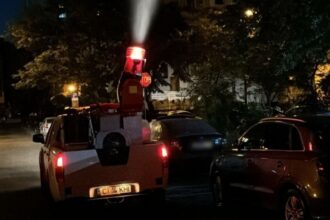 actiunile de dezinsectie reluate la constanta si mamaia 685bfde2c184f