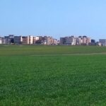 administratia locala va amenaja un parc generos dar a suspendat puz ul pentru cartierul care ar trebui sa beneficieze de el 6850936587ae0