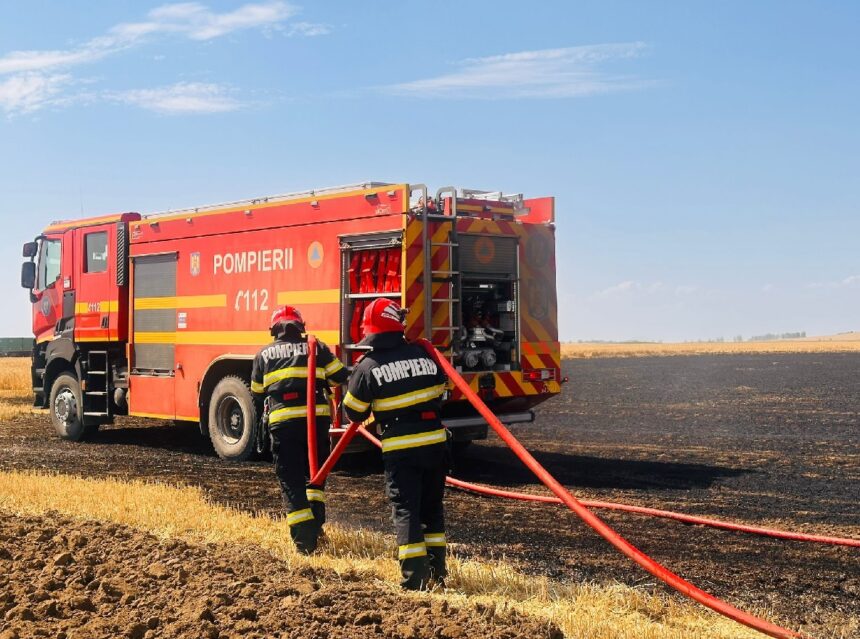 alerta incendiu de vegetatie uscata la iesirea din cernavoda spre seimenii mari 685beb581bccb