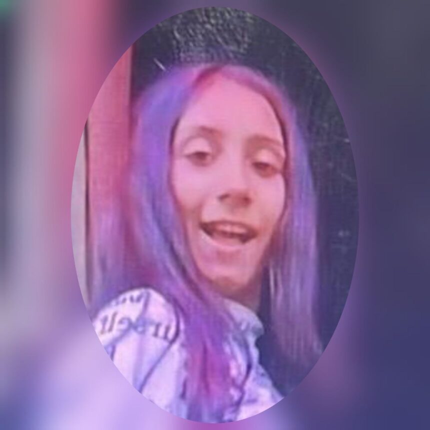 alerta la medgidia o minora de 13 ani este data disparuta sunati la 112 daca o vedeti 6854fbd68b20f