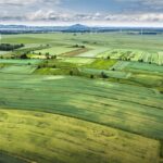 ancpi aproape sapte milioane de hectare cadastrate gratuit pentru cetateni 6842b5d3a5903