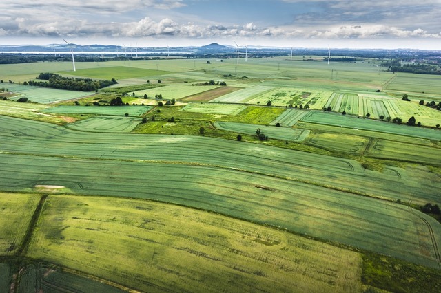 ancpi aproape sapte milioane de hectare cadastrate gratuit pentru cetateni 6842b5d3a5903