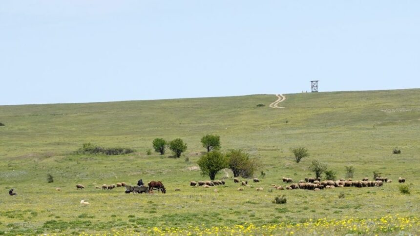 aproape si a omorat fosta iubita pe camp dar nu mai vrea la inchisoare judecatorii au alta parere 6840db5ebbfcf
