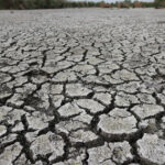avertismentul climatologilor peste jumatate din europa a fost afectata de seceta pana la jumatatea lunii mai care e situatia romaniei 683ee8c31750e