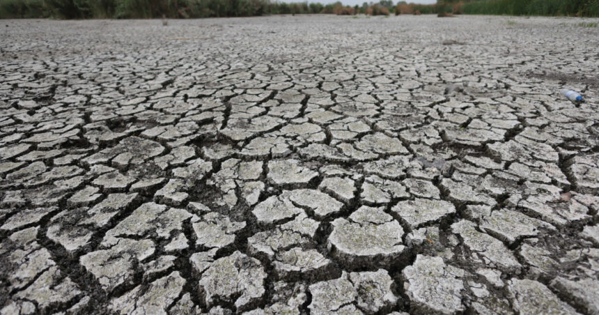 avertismentul climatologilor peste jumatate din europa a fost afectata de seceta pana la jumatatea lunii mai care e situatia romaniei 683ee8c31750e
