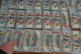 bani ascunsi pe sub haine un cuplu a incercat sa intre in romania cu 14 milioane de dolari nedeclarati 684e95fb71937