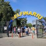 cjc a lansat licitatia pentru dotarea extinderii delfinariului 6842226eb32ea