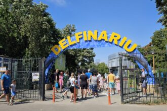 cjc a lansat licitatia pentru dotarea extinderii delfinariului 6842226eb32ea