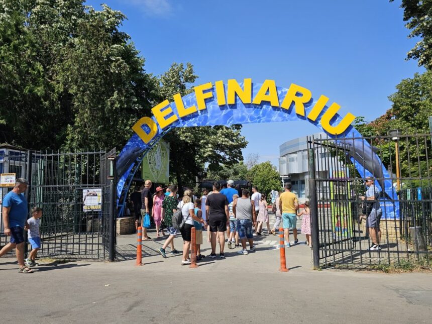 cjc a lansat licitatia pentru dotarea extinderii delfinariului 6842226eb32ea