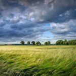 cod galben de vant puternic in moldova sudul banatului si in vestul si sudul olteniei 685faaea106c9